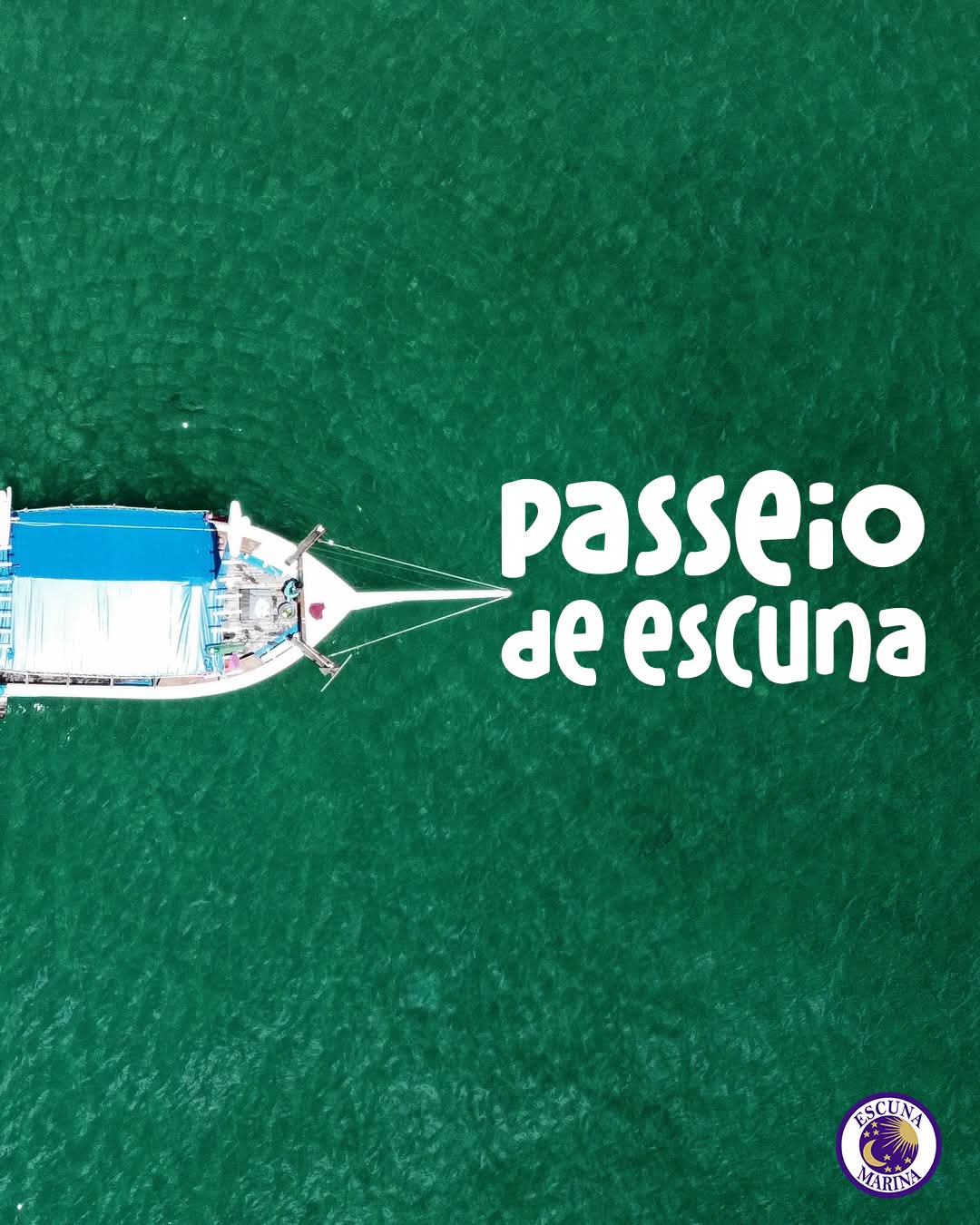 Vista aérea da escuna sobre o mar verde de Ubatuba